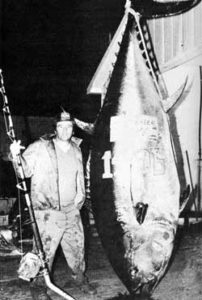 世界最大の巨大マグロは680kg 日本の歴代記録の大きさや値段も調査してみた アウトビ